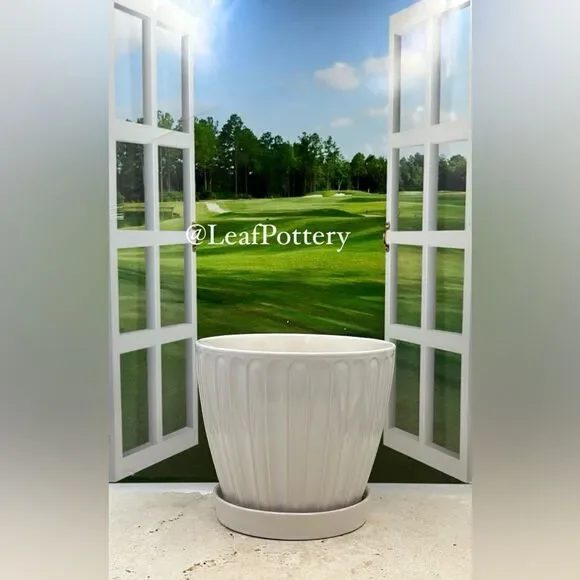 Pancho White Ceramic Planter Pot with Saucer Attached - Picture 6 of 9